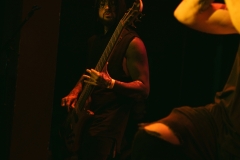 DSC07729